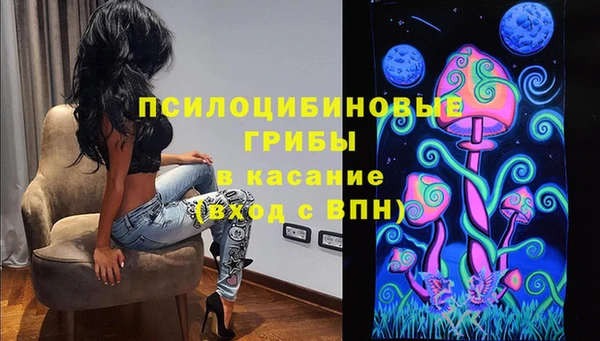 гидропоника Каменка