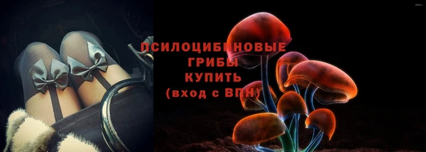 МДПВ Каменногорск