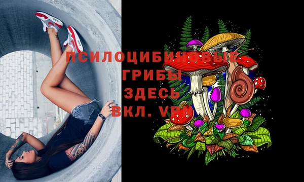 гидропоника Каменка