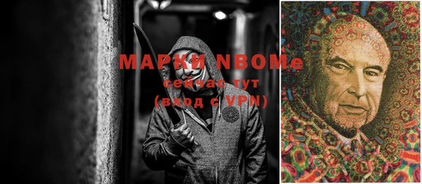 гидропоника Каменка