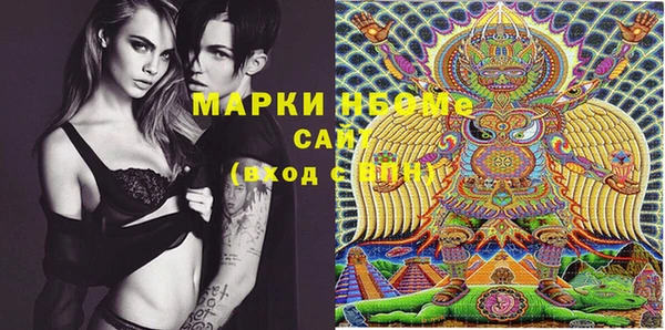 гидропоника Каменка