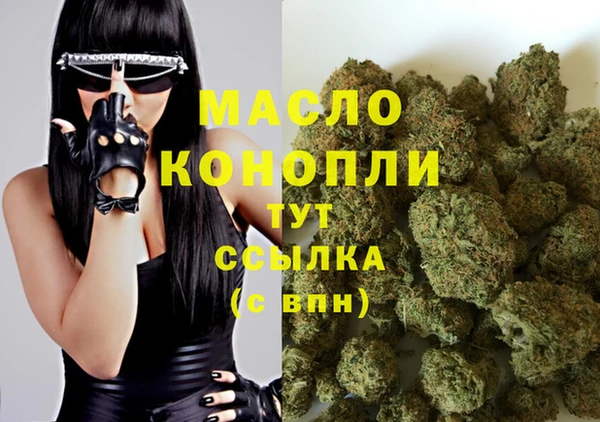 гидропоника Каменка