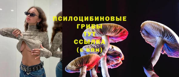 гидропоника Каменка