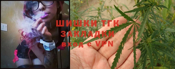 МДПВ Каменногорск